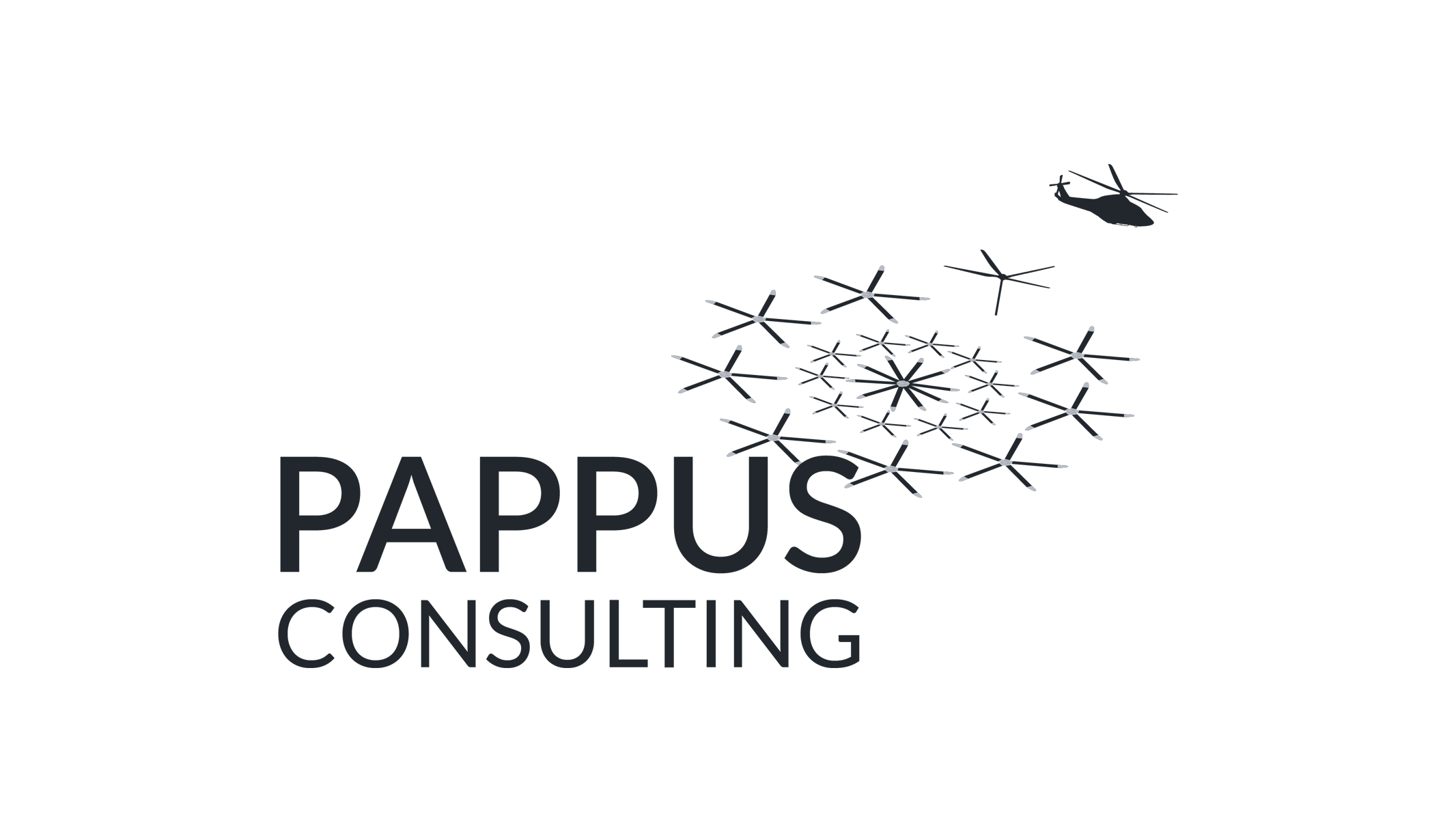 Pappus Consulting